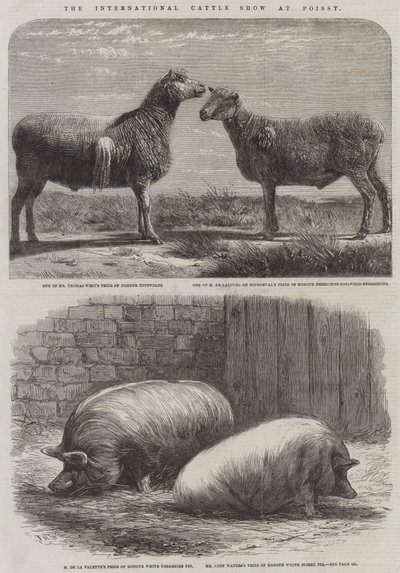 The International Cattle Show at Poissy by Friedrich Wilhelm Keyl